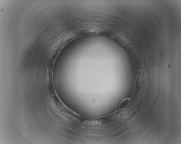 X0000053070639200508011941