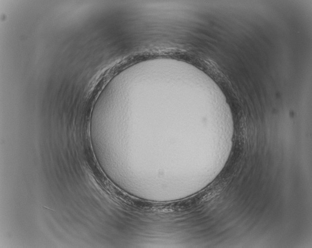 X0000053070640200508011941