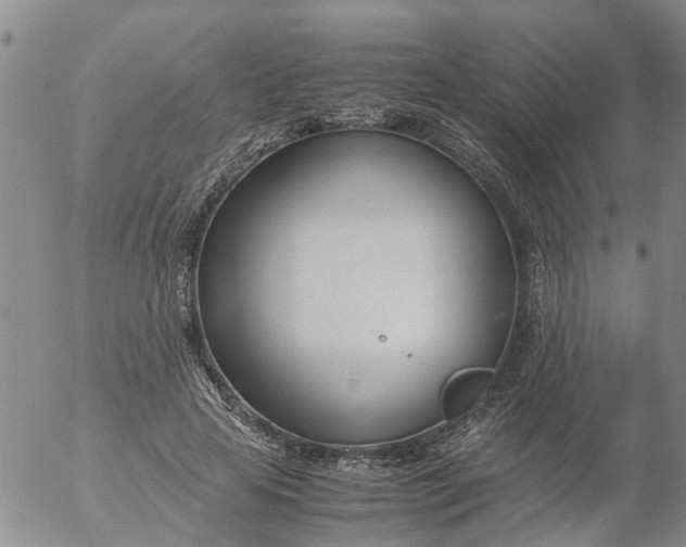 X0000053070641200508011941