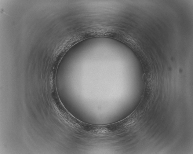 X0000053070642200508011941