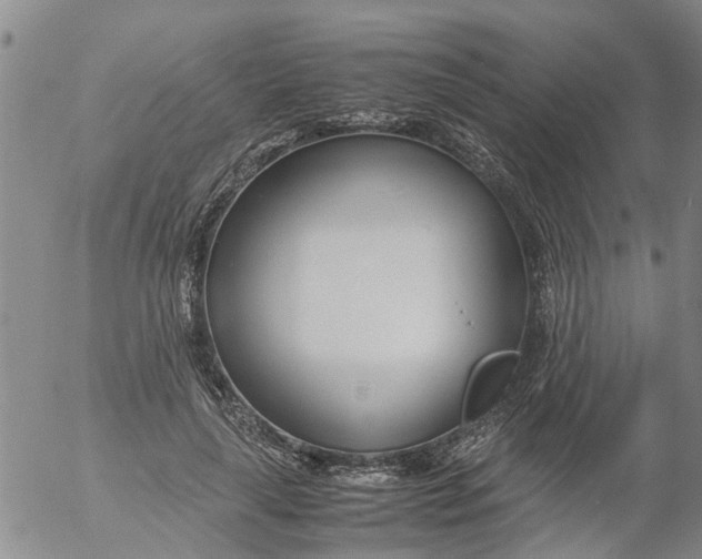 X0000053070643200508011941