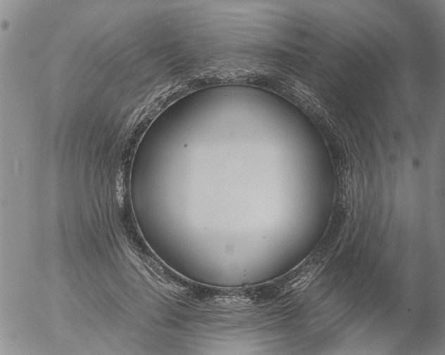 X0000053070644200508011941