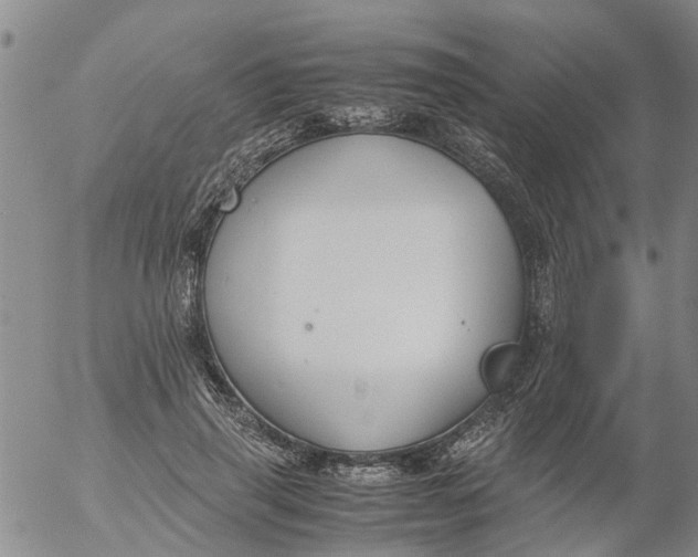 X0000053070645200508011941