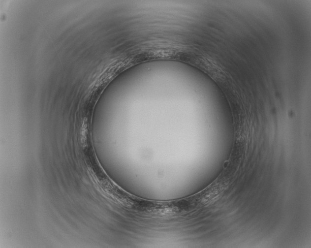 X0000053070646200508011941