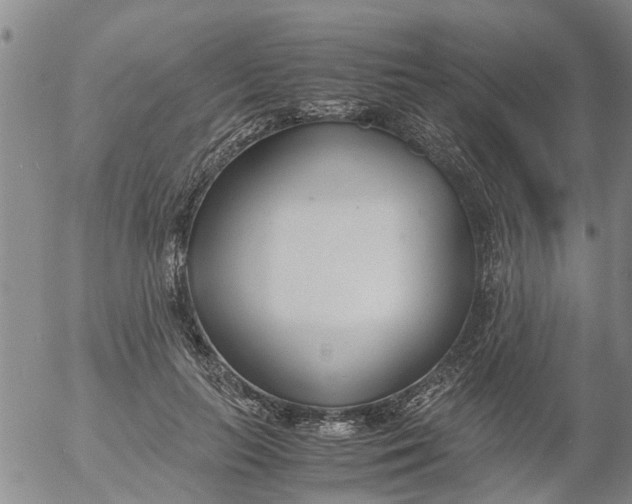 X0000053070647200508011941