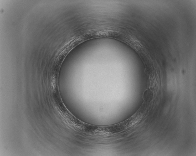 X0000053070648200508011941