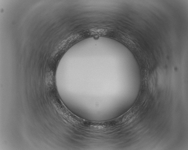 X0000053070649200508011941