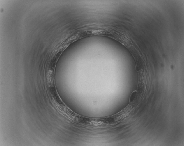 X0000053070650200508011941