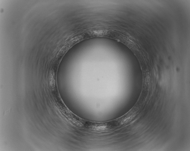 X0000053070651200508011941