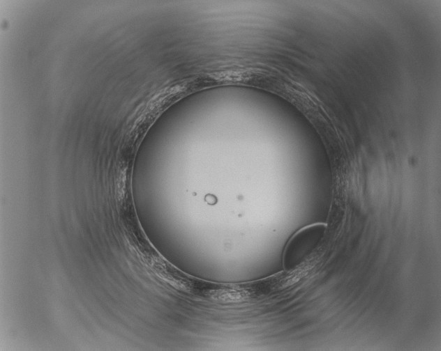 X0000053070652200508011941