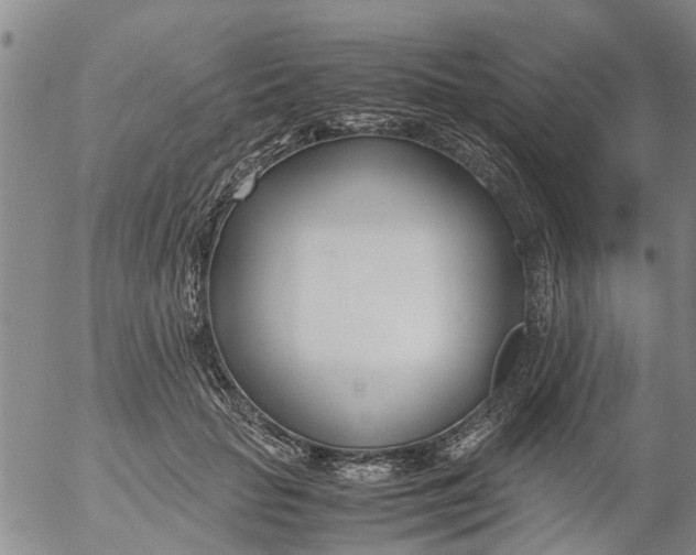 X0000053070653200508011941