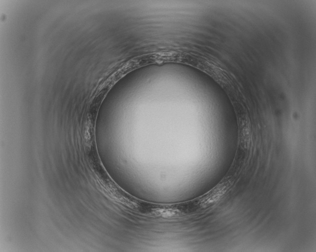 X0000053070654200508011941