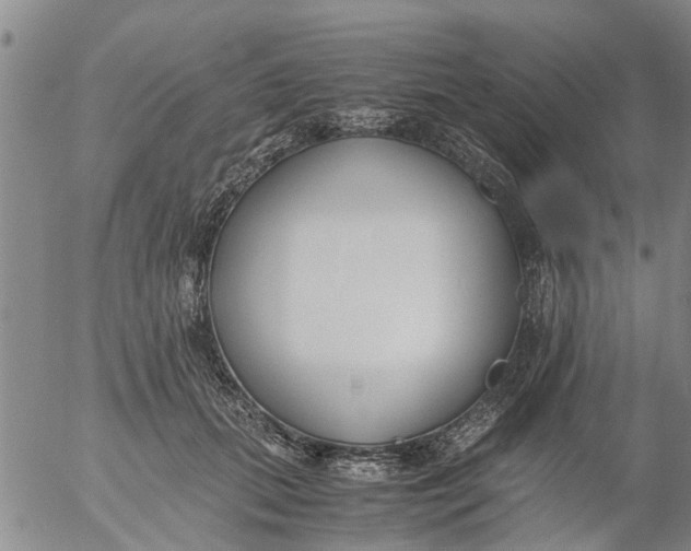 X0000053070655200508011941