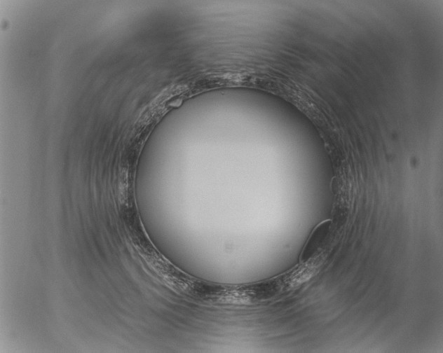 X0000053070656200508011941