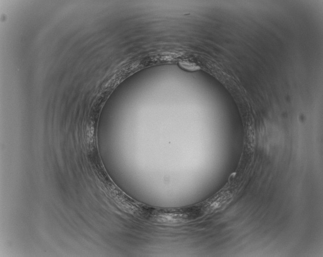 X0000053070657200508011941