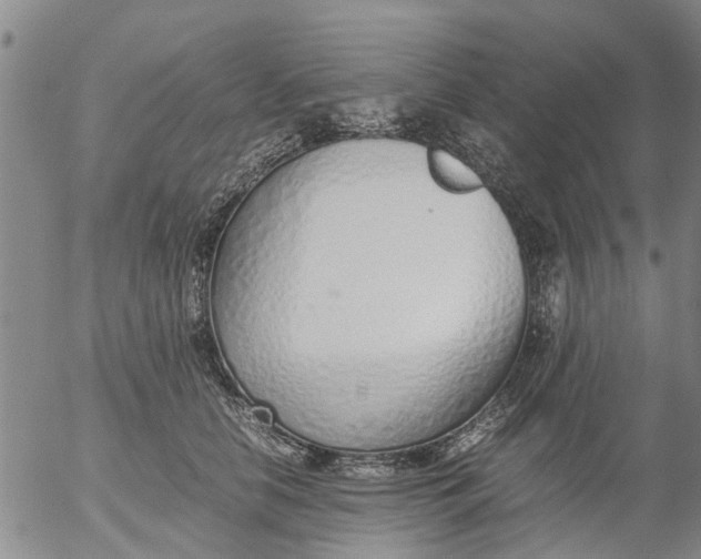 X0000053070658200508011941