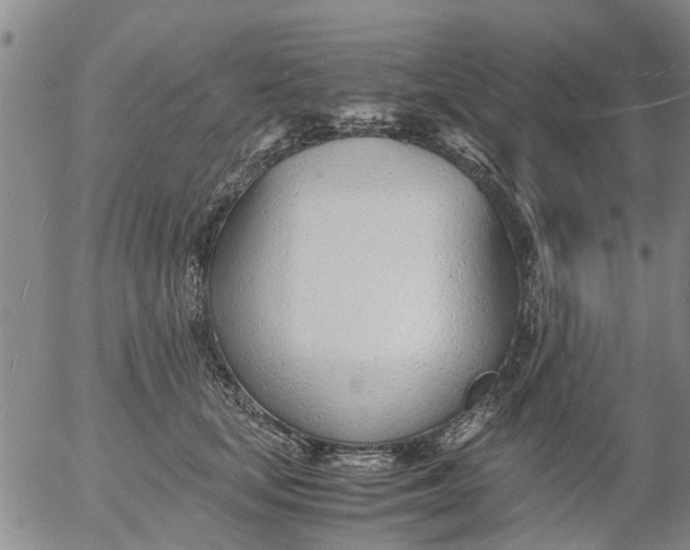 X0000053070659200508011941