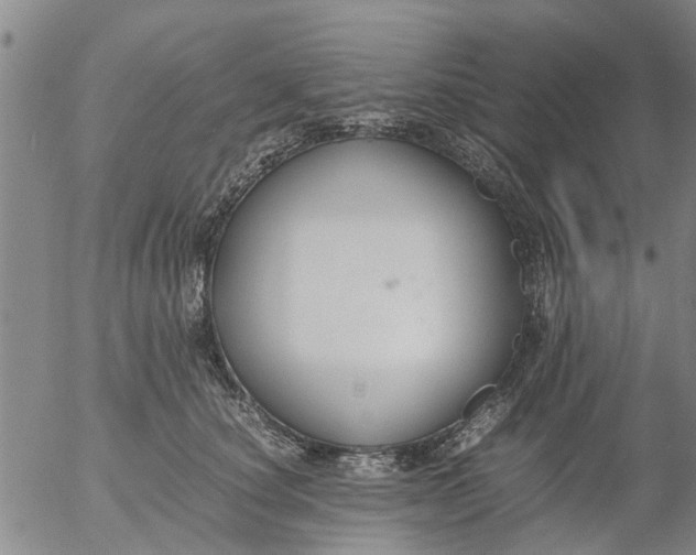 X0000053070660200508011941