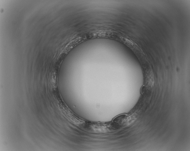 X0000053070661200508011941