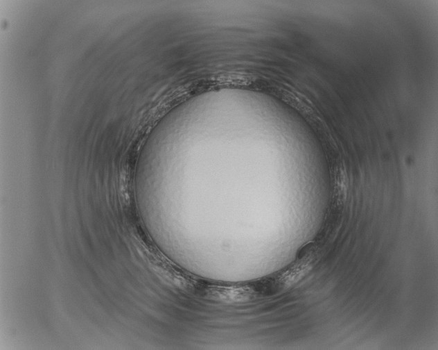 X0000053070663200508011941