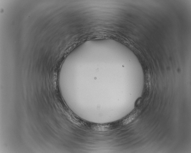 X0000053070664200508011941