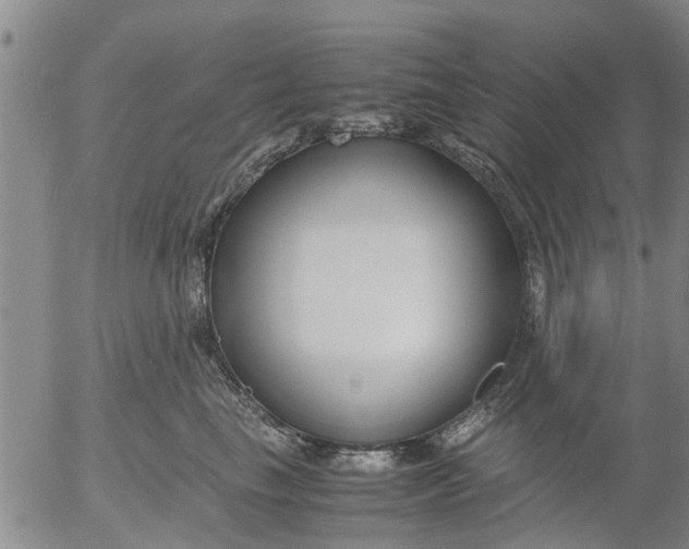 X0000053070665200508011941