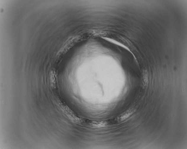 X0000053070667200508011941