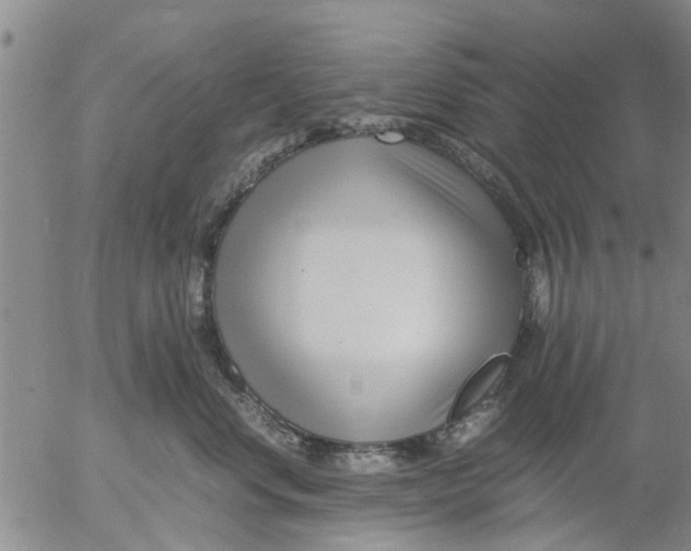 X0000053070668200508011941