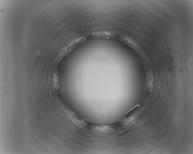 X0000053070669200508011941