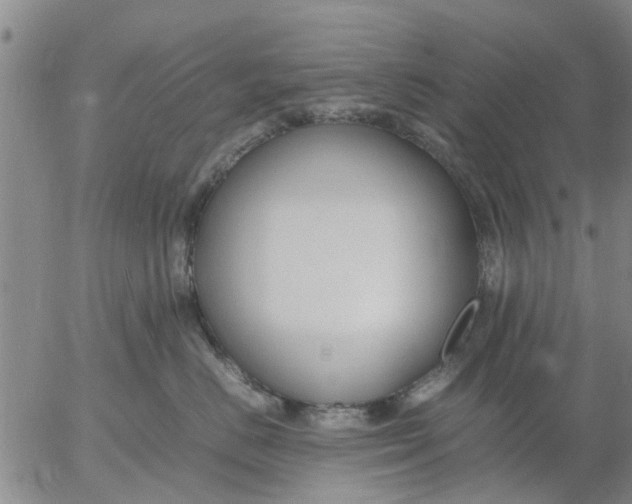 X0000053070670200508011941