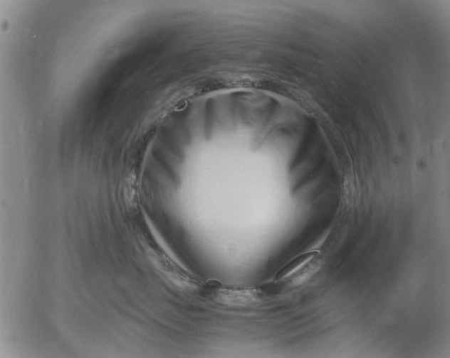 X0000053070671200508011941