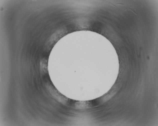 X0000053070672200508011941