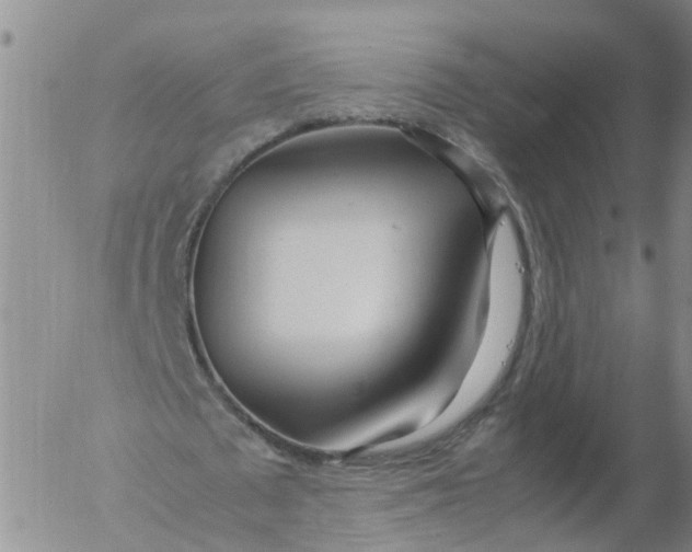 X0000053070673200508011941