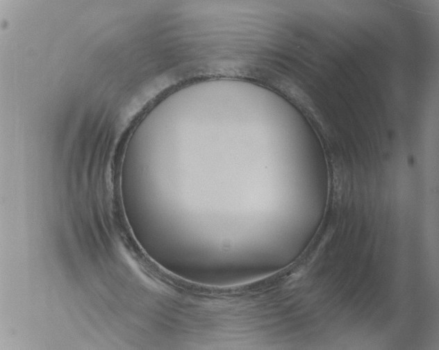 X0000053070674200508011941