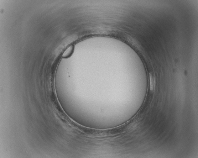 X0000053070675200508011941