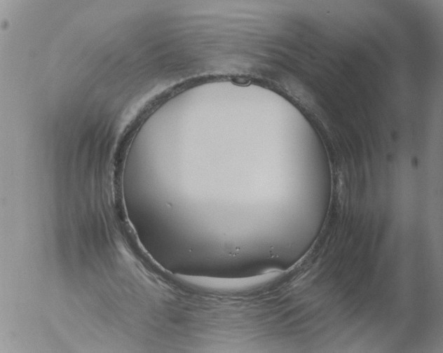 X0000053070676200508011941