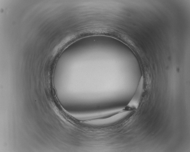 X0000053070677200508011941