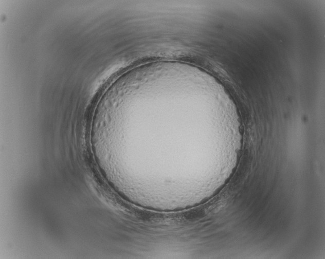 X0000053070679200508011941