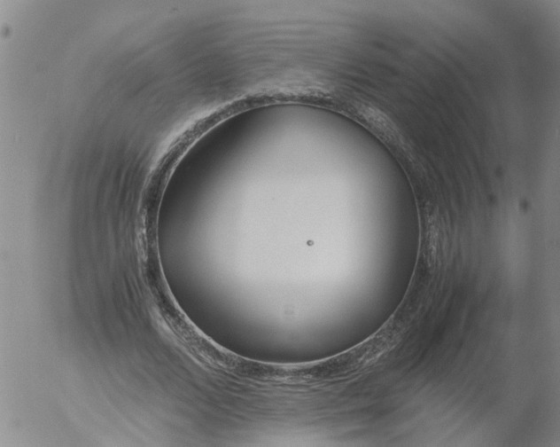 X0000053070680200508011941