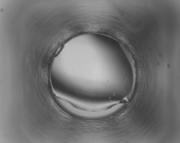 X0000053070681200508011941