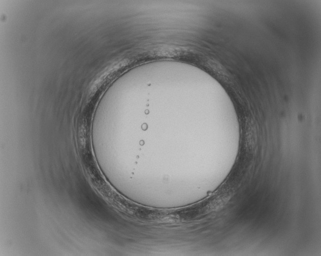 X0000053070683200508011940