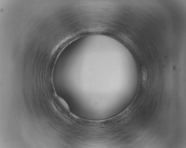 X0000053070684200508011940