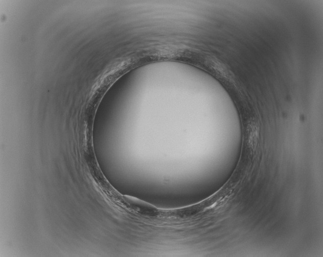 X0000053070685200508011940