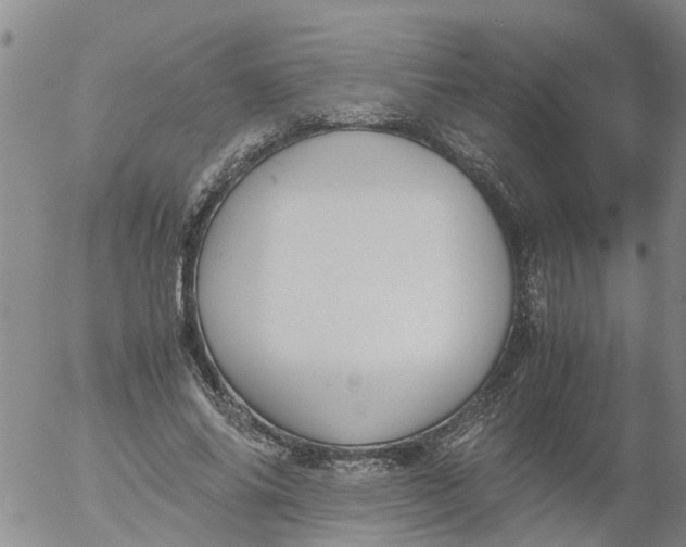 X0000053070686200508011940