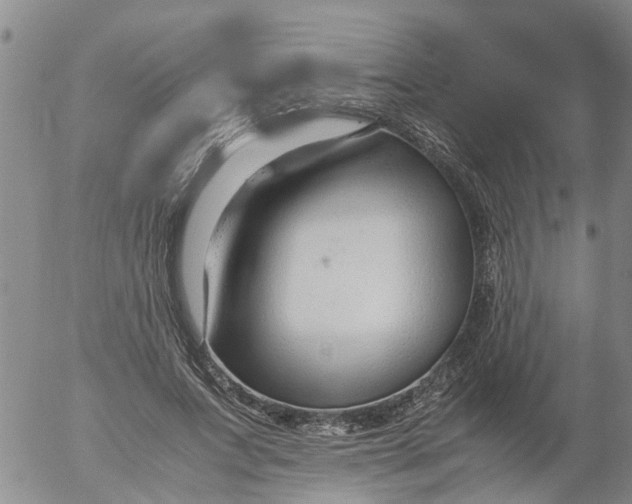 X0000053070687200508011940