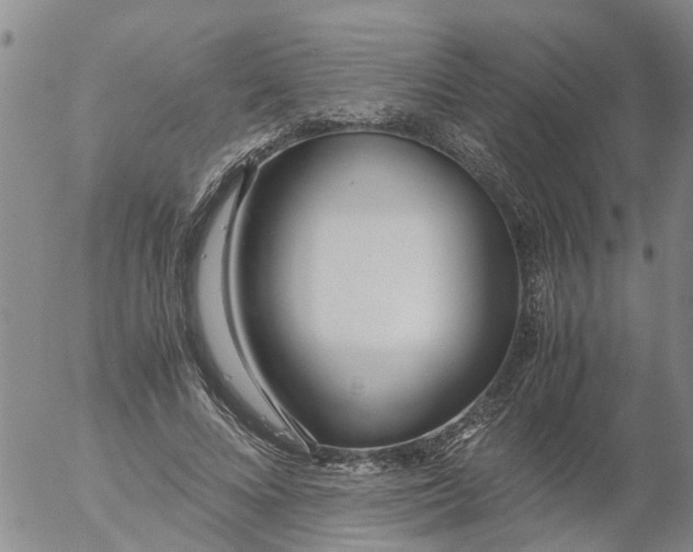 X0000053070688200508011940