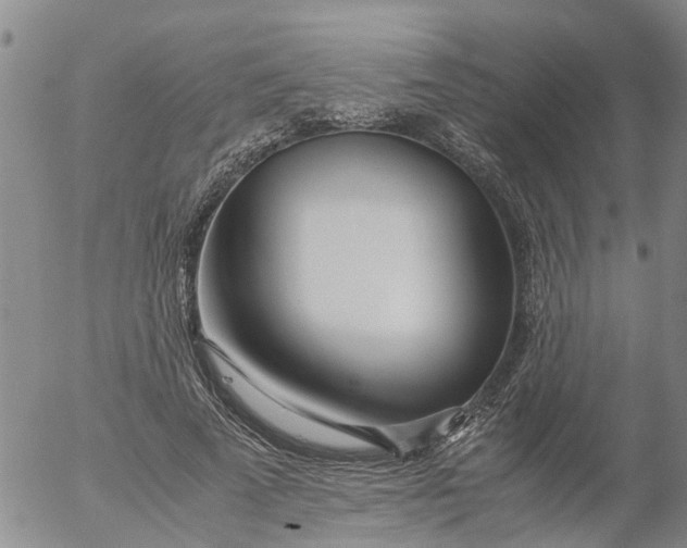 X0000053070689200508011940