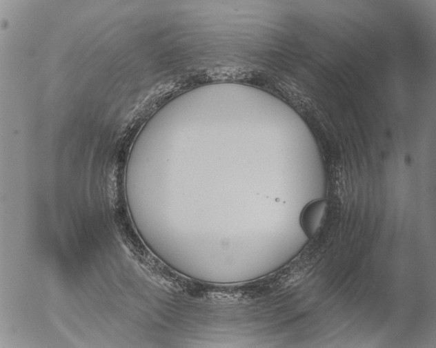 X0000053070690200508011940