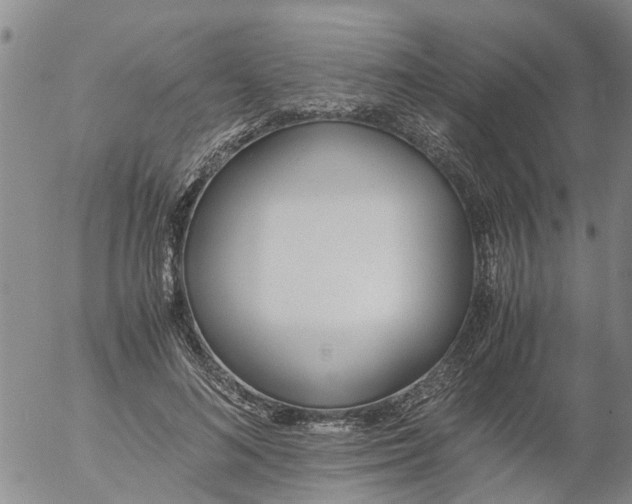 X0000053070692200508011940