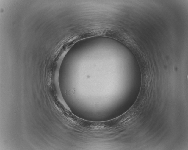 X0000053070693200508011940